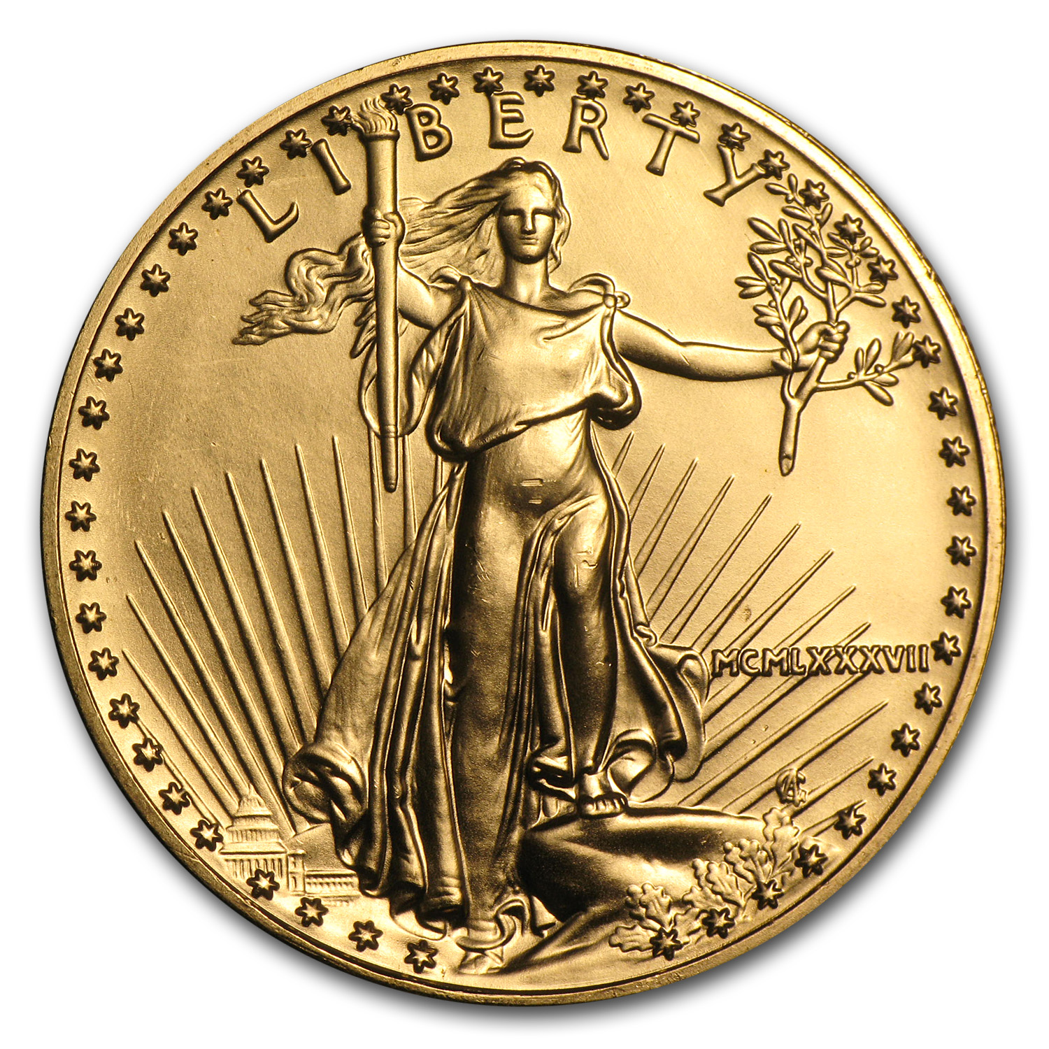 アメリカンイーグル 1987年S プルーフ硬貨1ドル銀貨 ケース付き